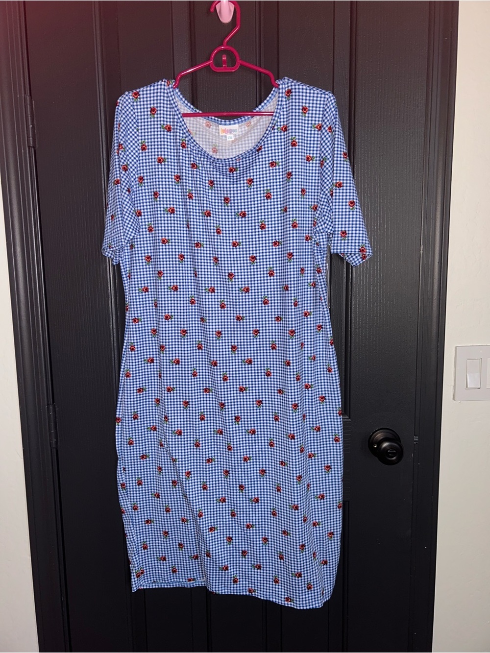 LuLaRoe Blue Gingham Julia Dress with Red Ladybug Print